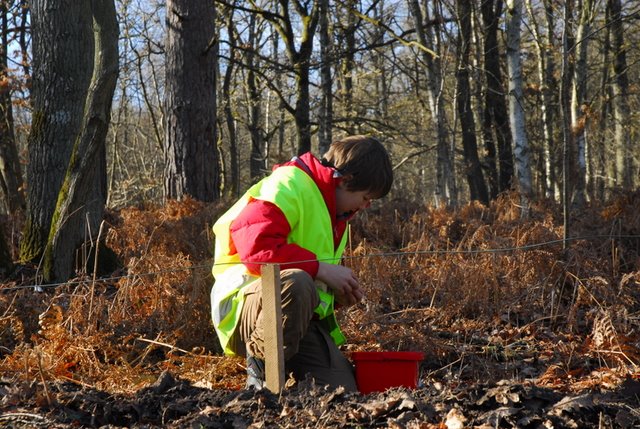 2009 Crapaudrome de Guiperreux 05